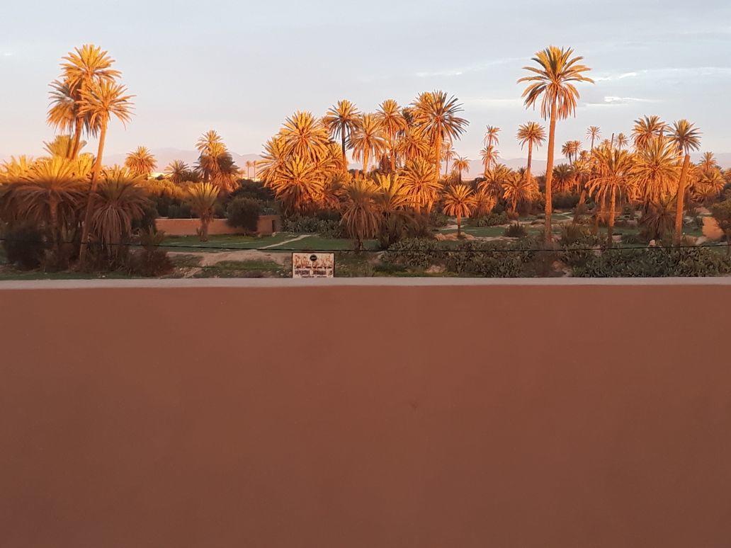 Riad Janoub تزنيت‎ المظهر الخارجي الصورة